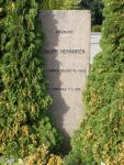 Halvor Hermansen.JPG